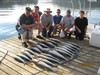 (07/09/2017) - Nice Striped Bass